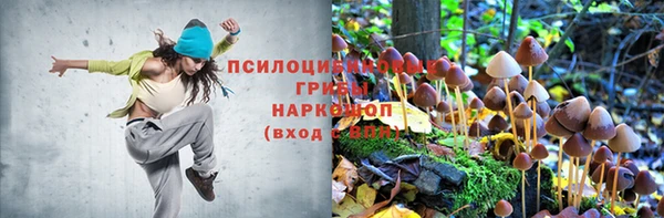 соль ск Заволжск