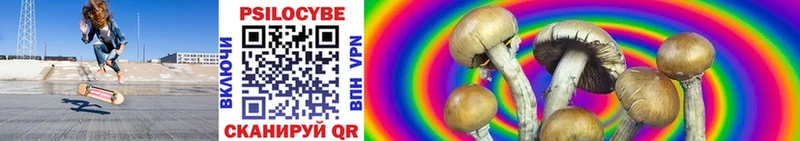 купить наркотики цена  Сосногорск  Псилоцибиновые грибы Magic Shrooms 
